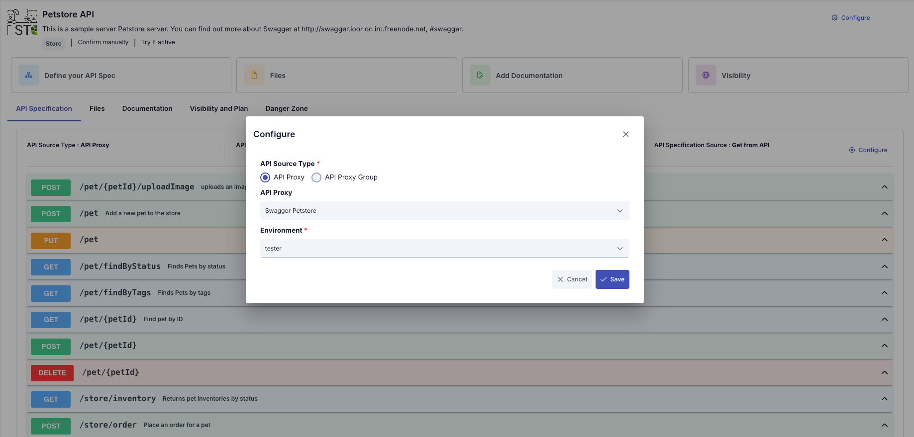 API Specification Configuration
