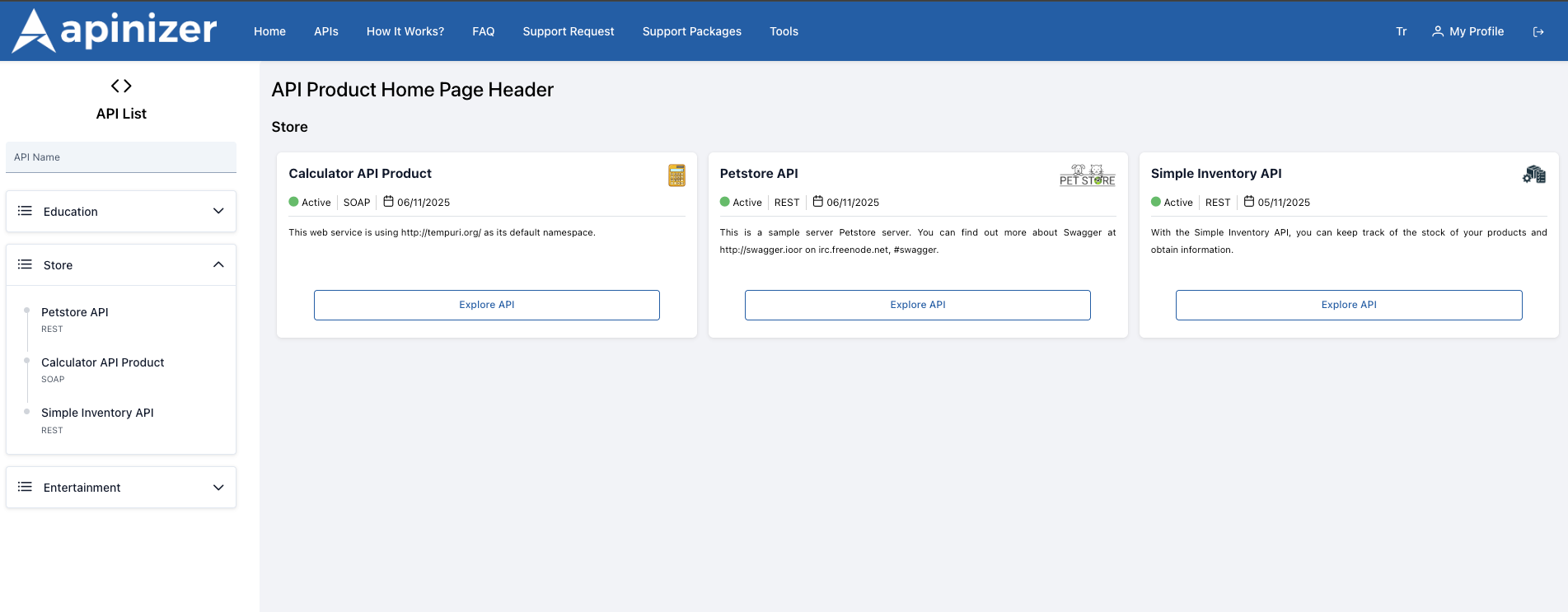 Portal Kategori Görünümü