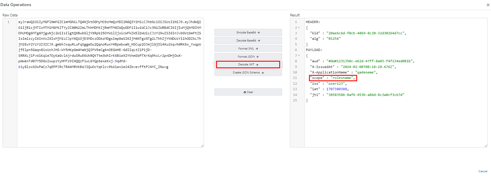 Password Token Usage with Scope 2