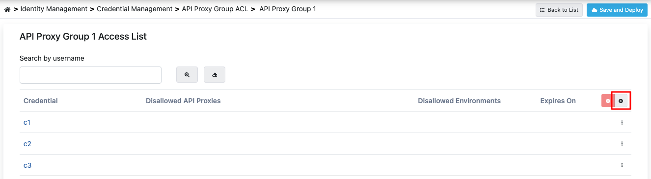 API Proxy Grup Detay Ekranı