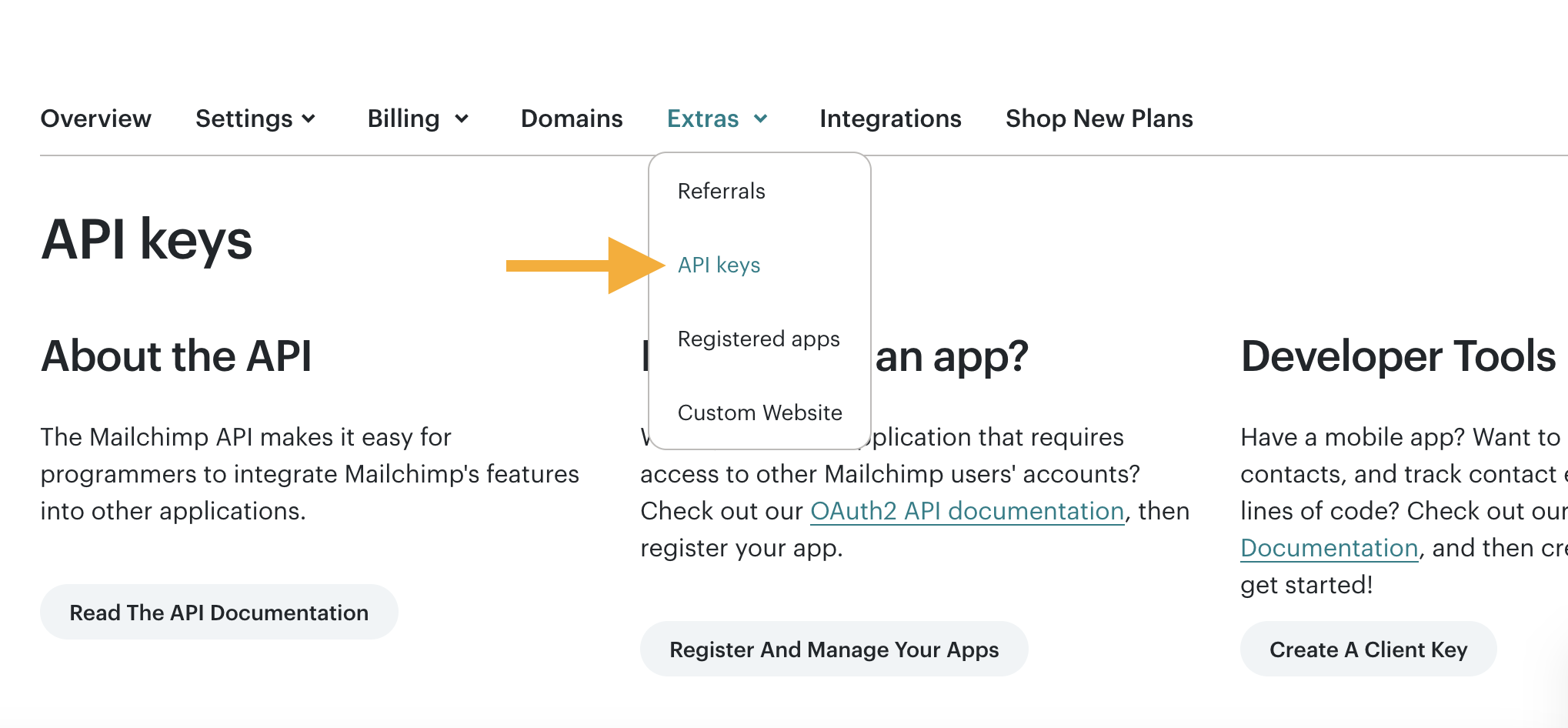 Api Key Mailchimp