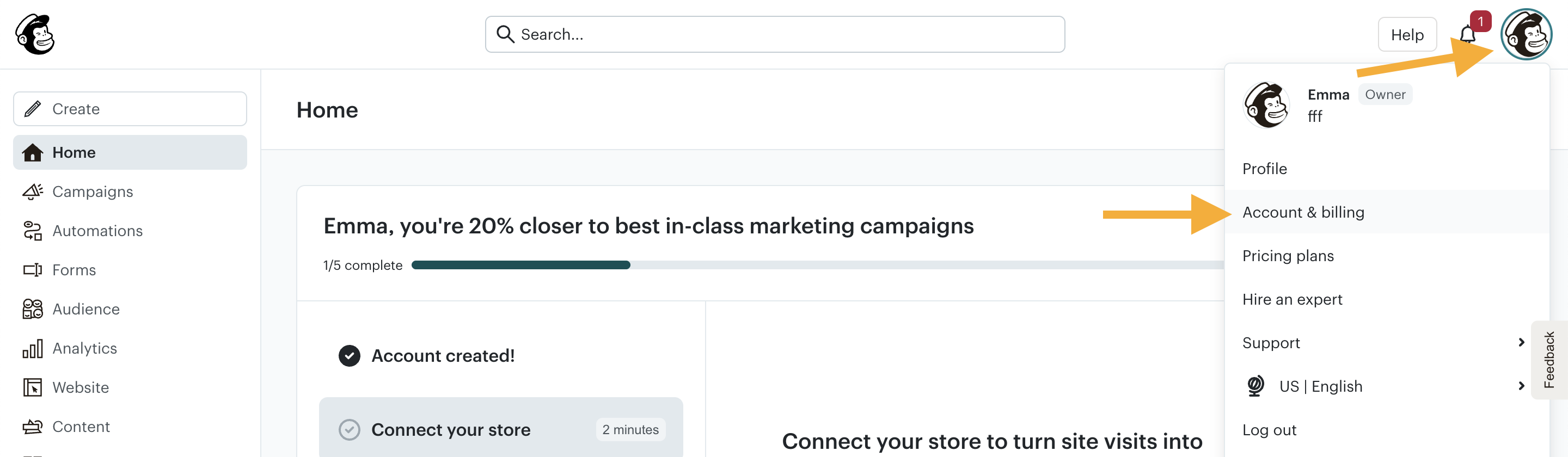 Mailchimp Account Settings