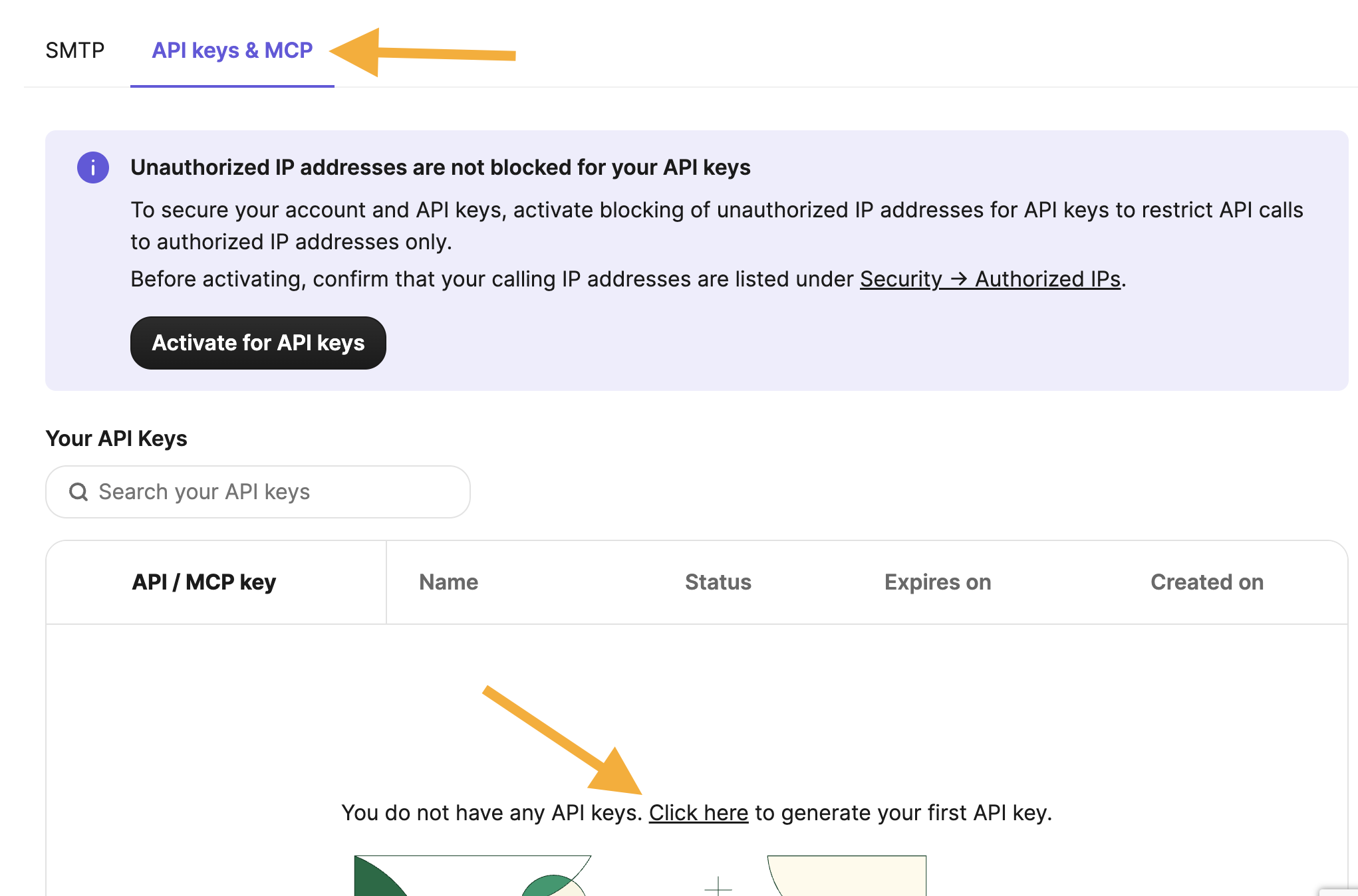 Api Key Brevo