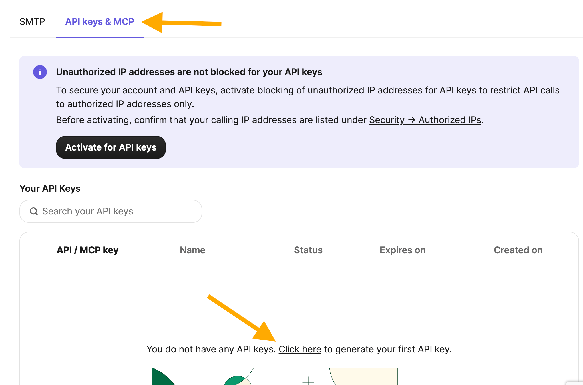 Api Key Brevo