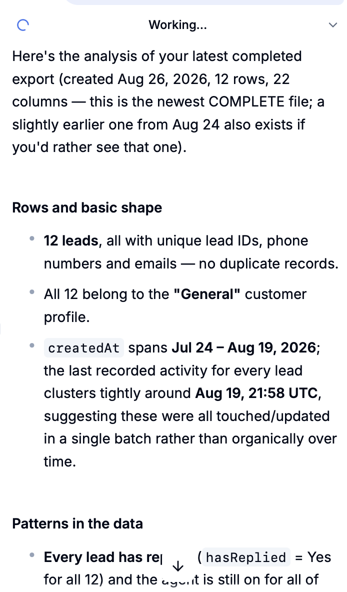 Tux export summary showing the lead count, duplicate check, and customer profile
