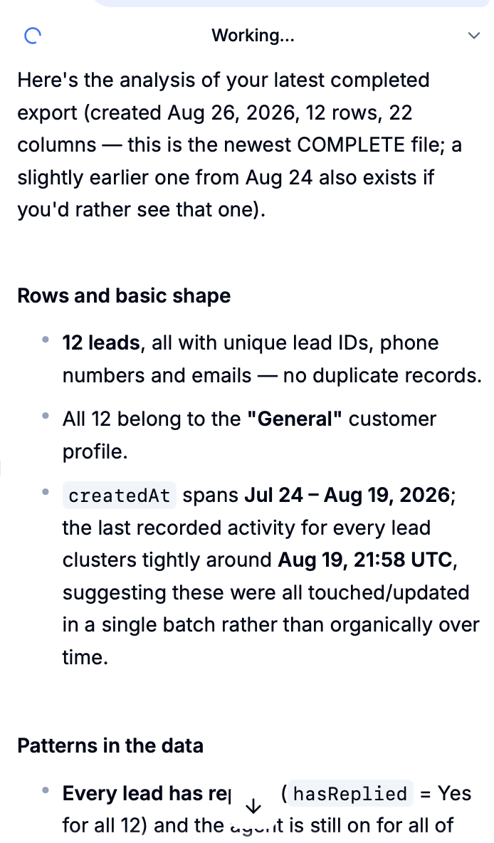 Tux export summary showing the lead count, duplicate check, and customer profile