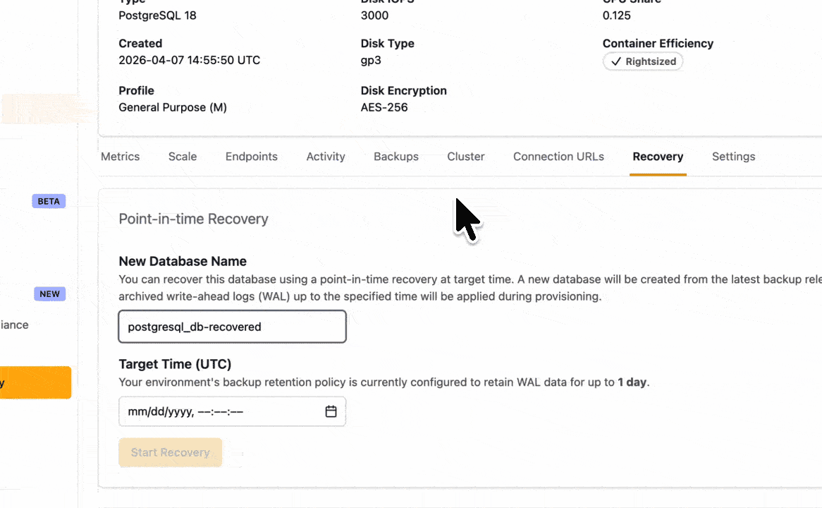Creating a Point-in-Time Restore