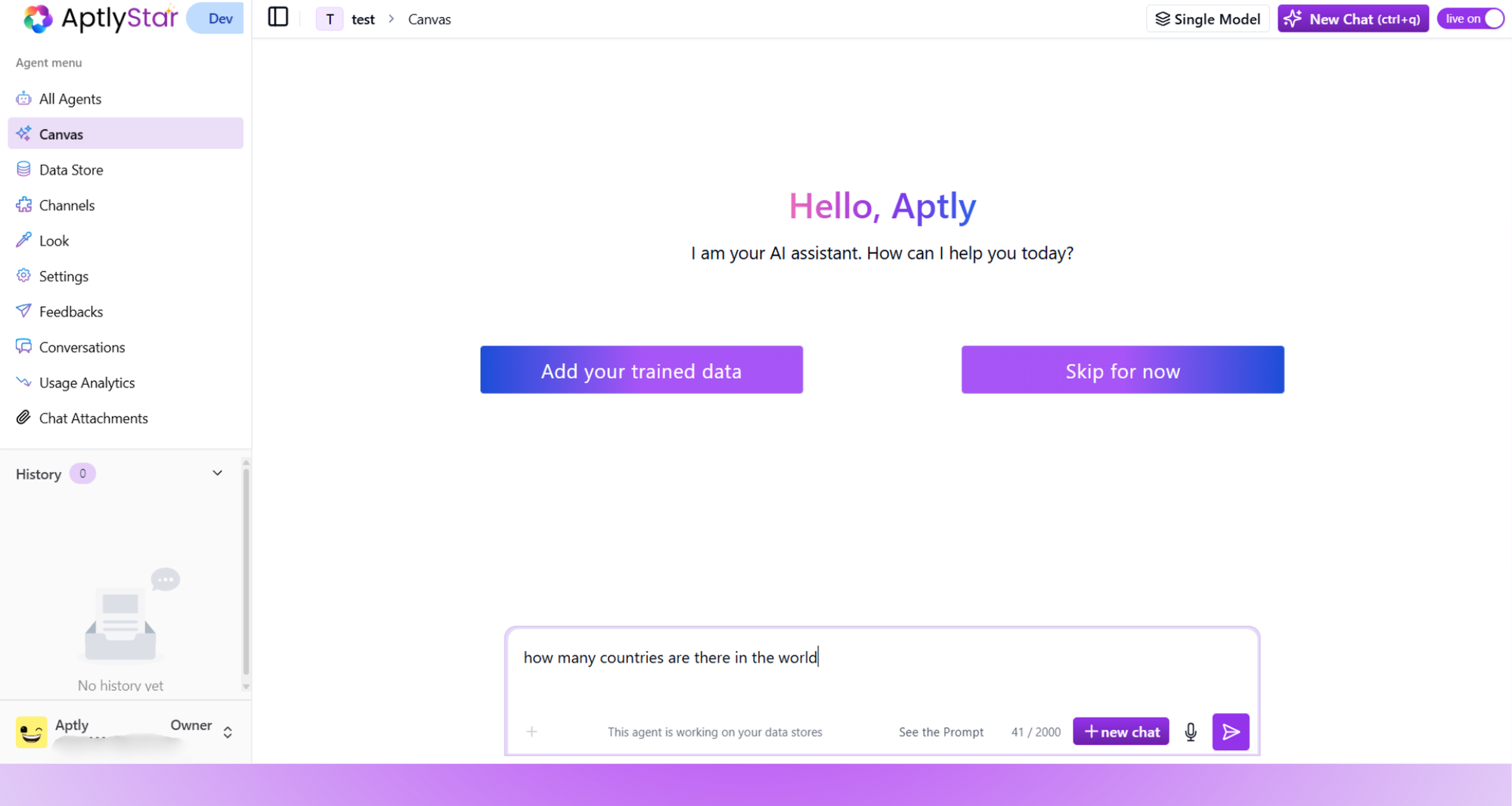 Initial Canvas Screen