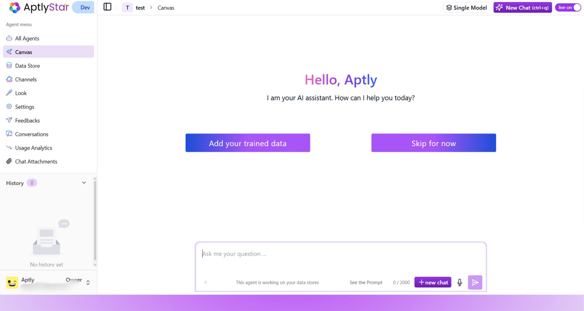 Initial Canvas Screen