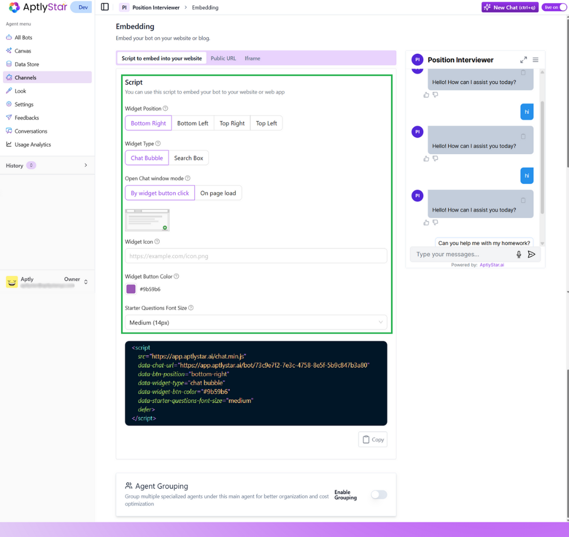 Widget Customization Options