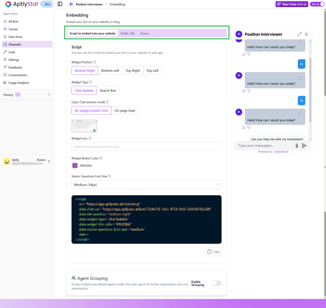 Widget Customization Options