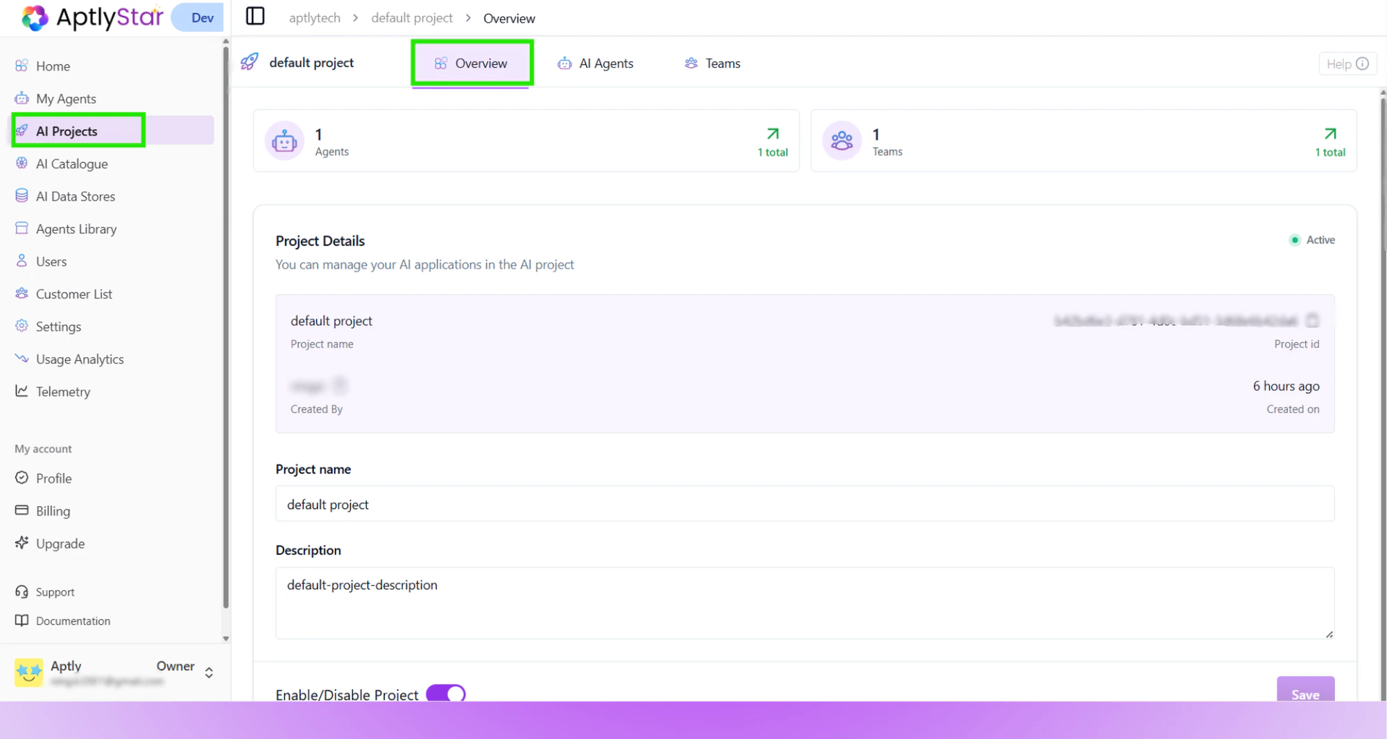 Project Overview Tab