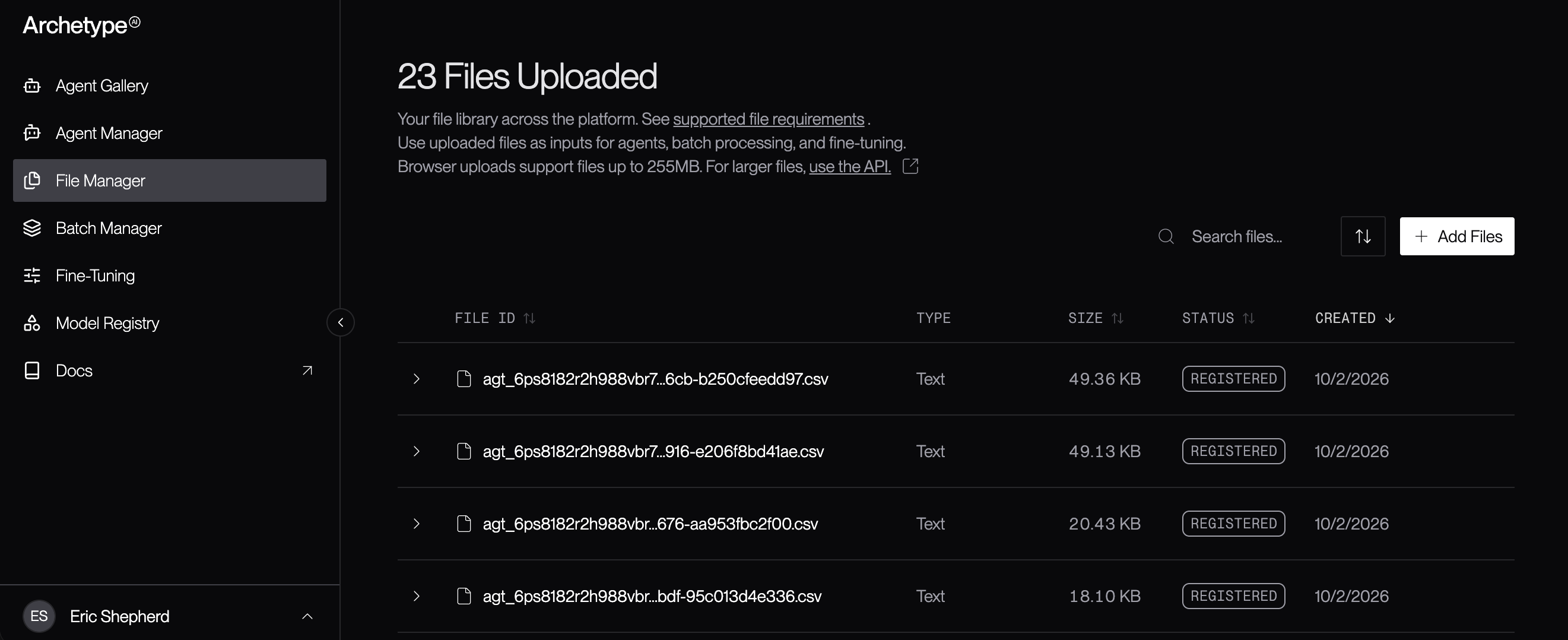 File Manager screenshot