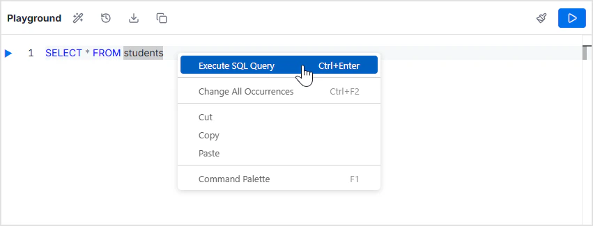 SQL Playground overview