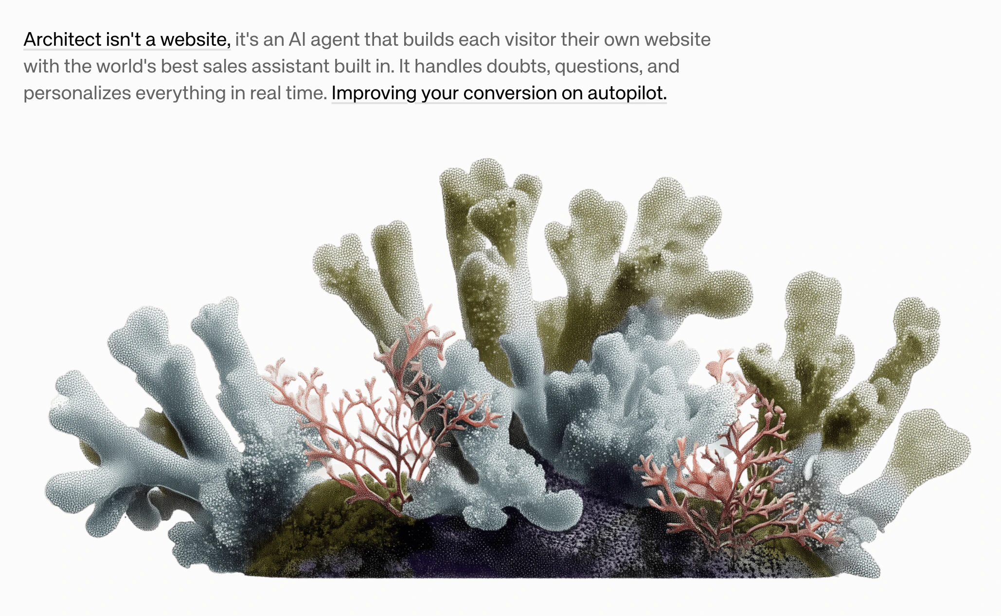 ImageContainer slice showing body text above a responsive image