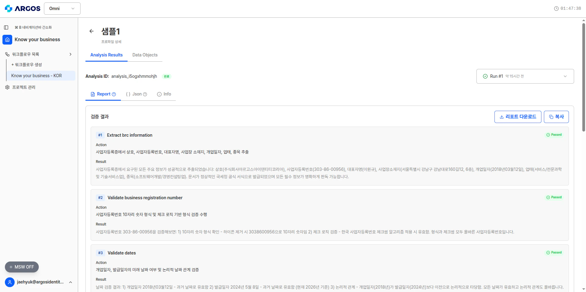 분석 결과 - Report 탭