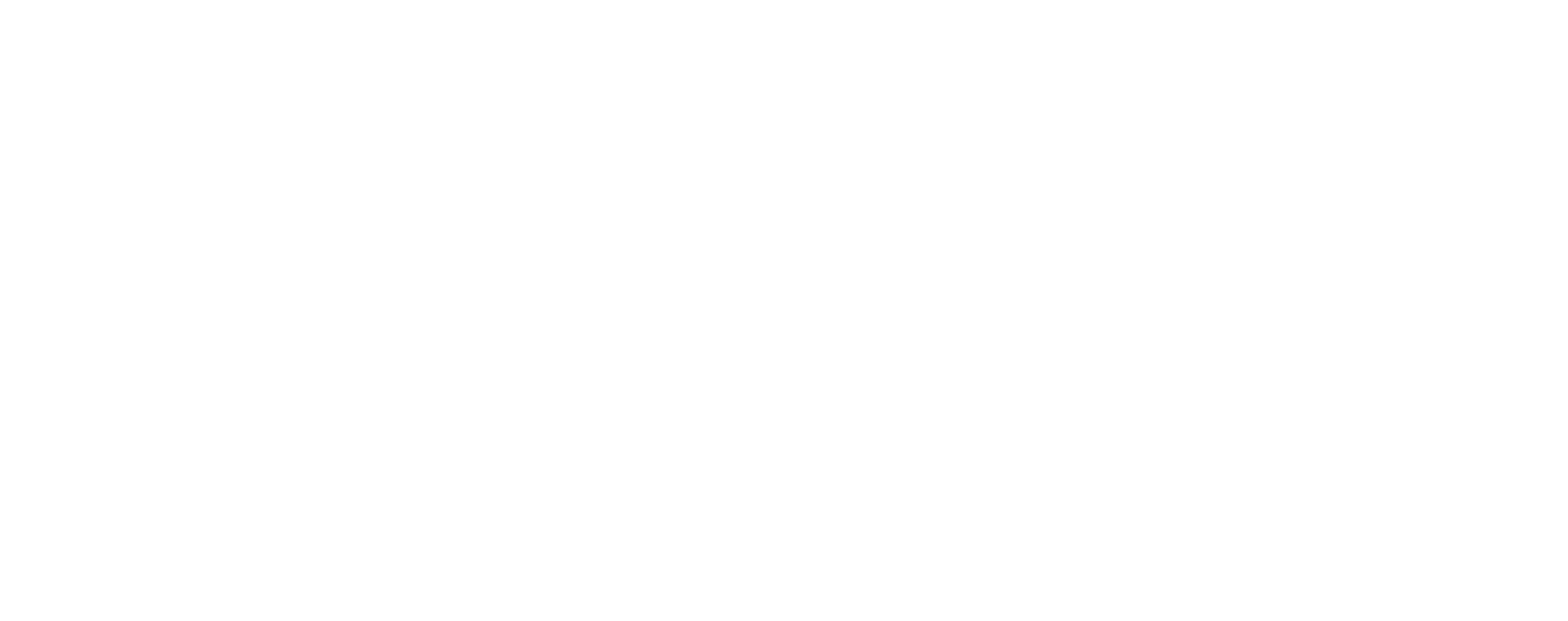 Checkpoint