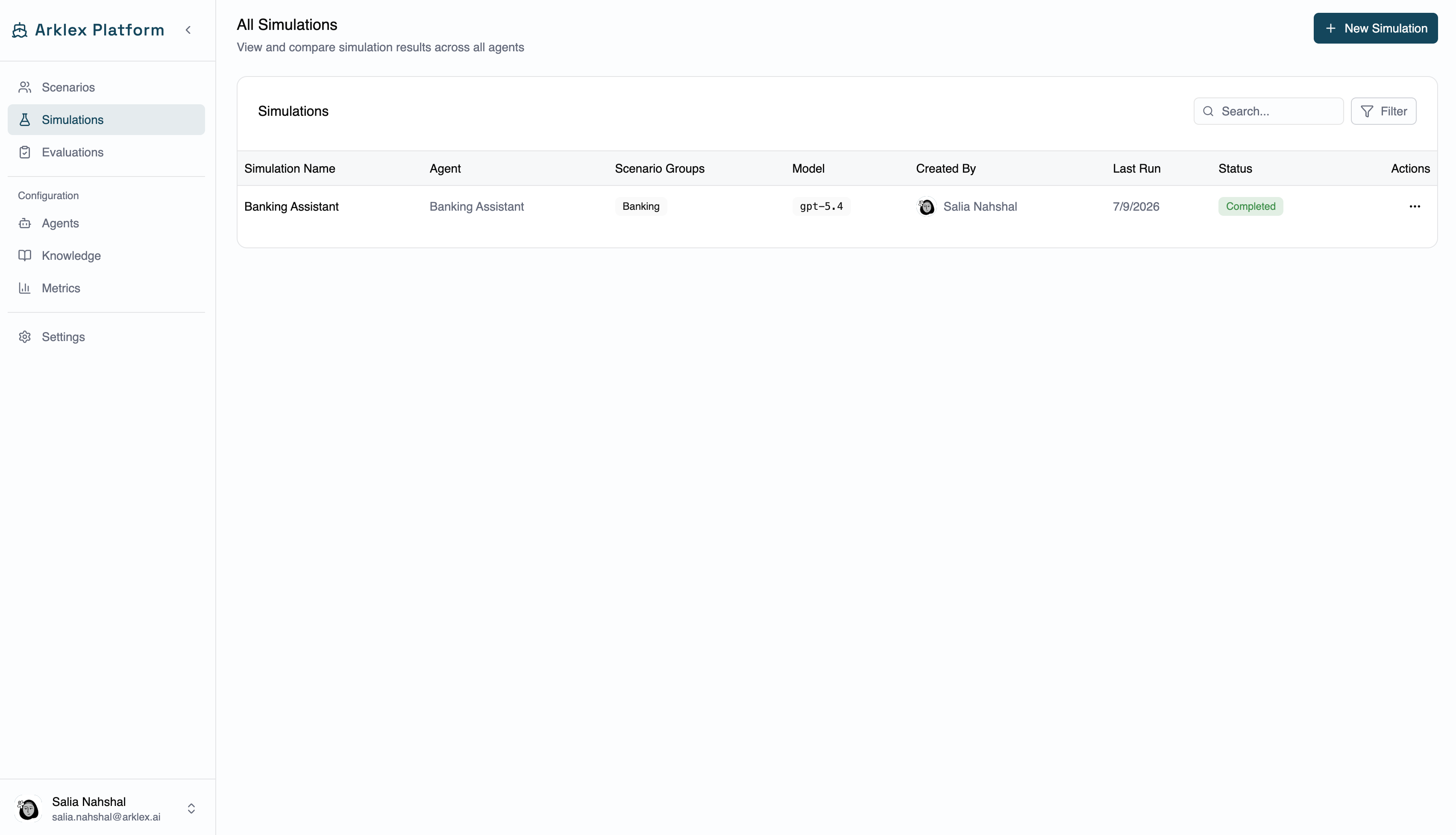 Simulation detail header showing name, status, agent, and conversation count