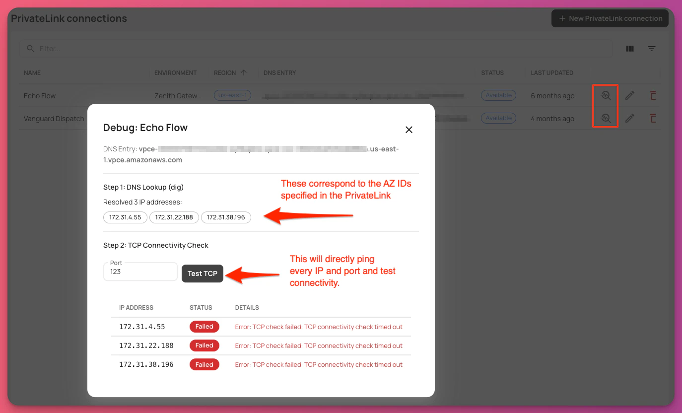 PrivateLink debugging tool
