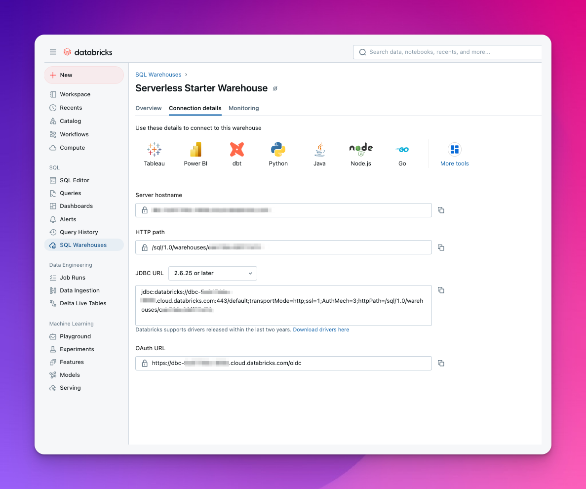 Databricks connection details