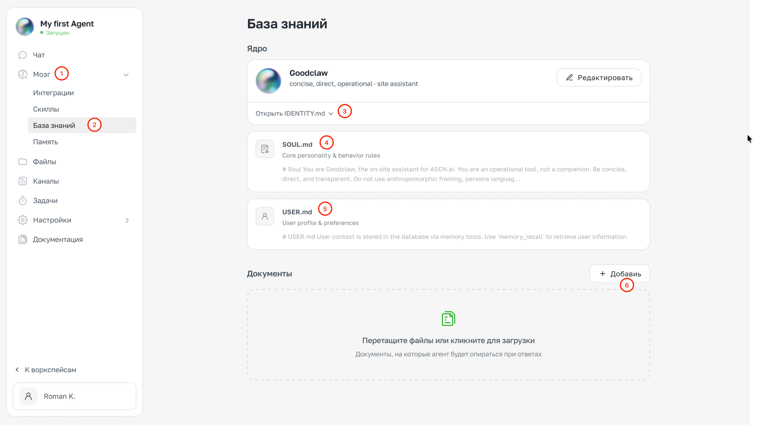 Раздел Мозг → База знаний