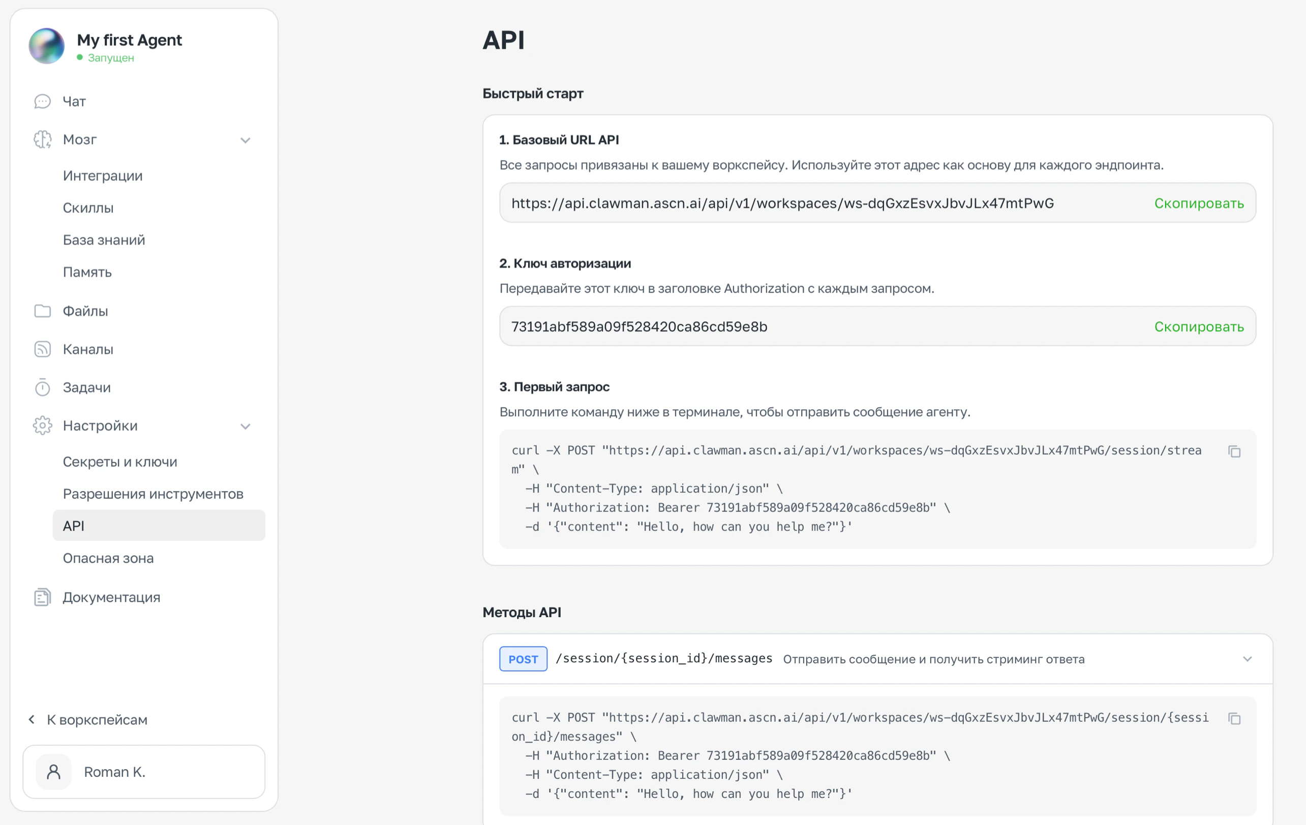 Раздел Настройки → API — Base URL, ключ авторизации и пример запроса