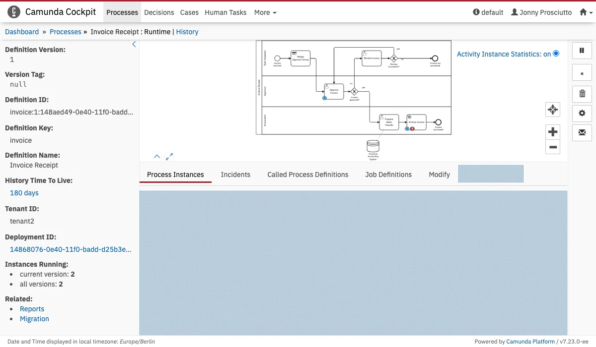 Process Definition Runtime Tab