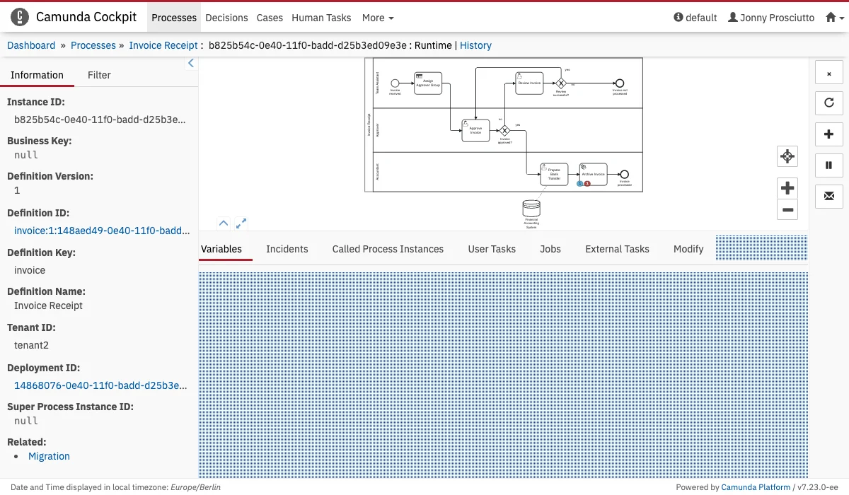 Process Instance Runtime Tab