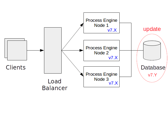 Update the Database Schema