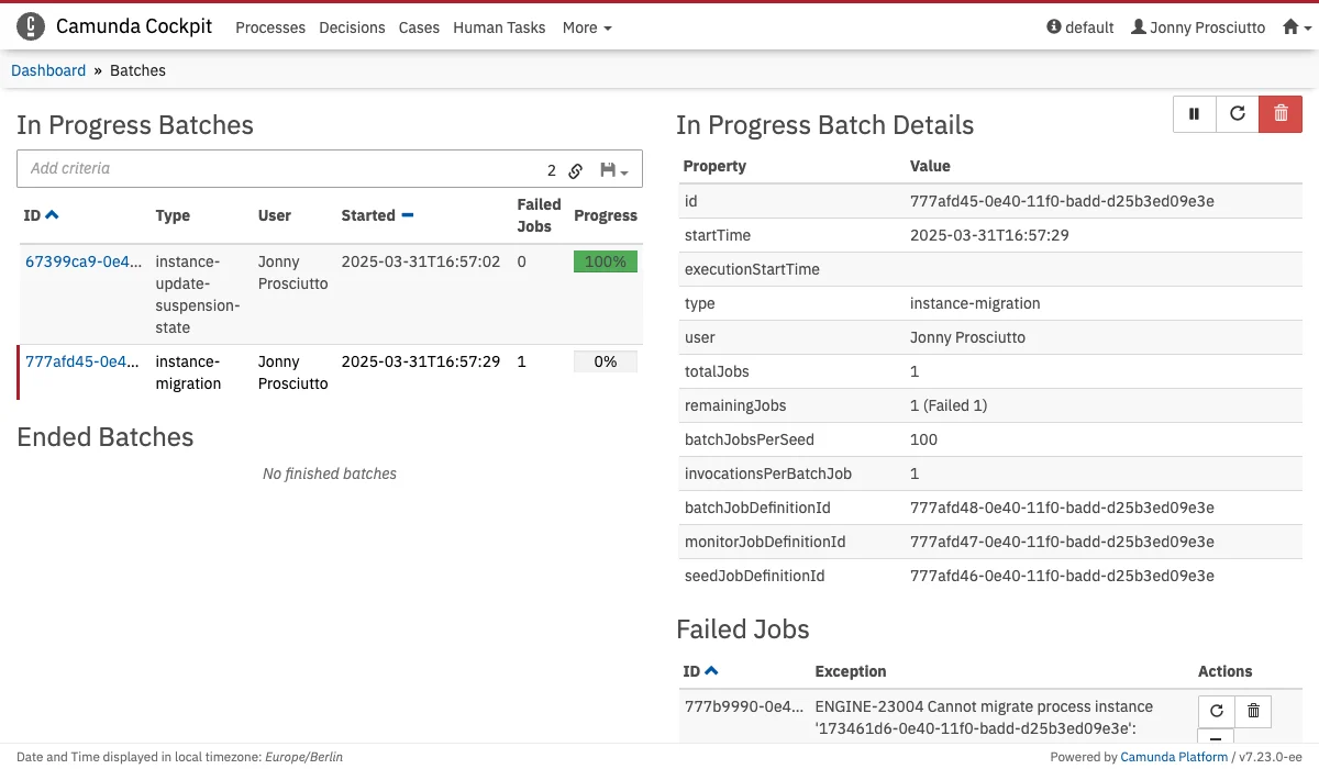 Batch View Page