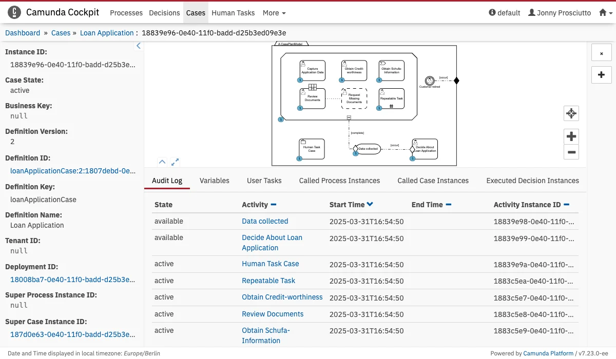 Case Instance View