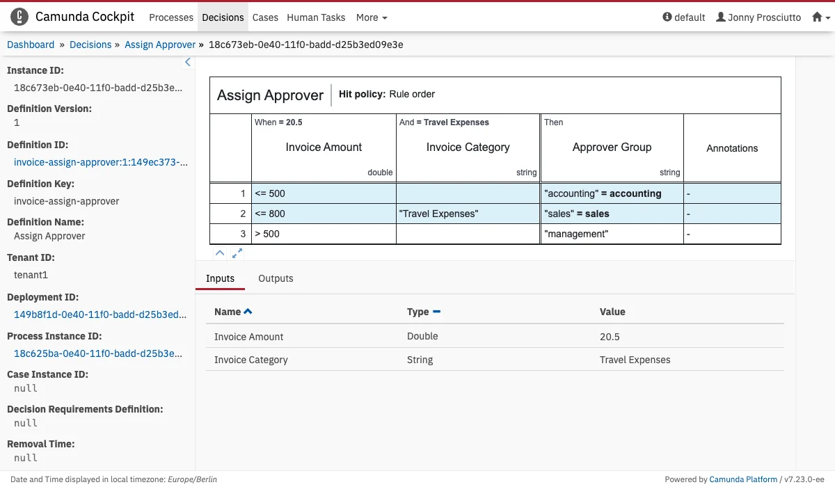 Decision Instance View