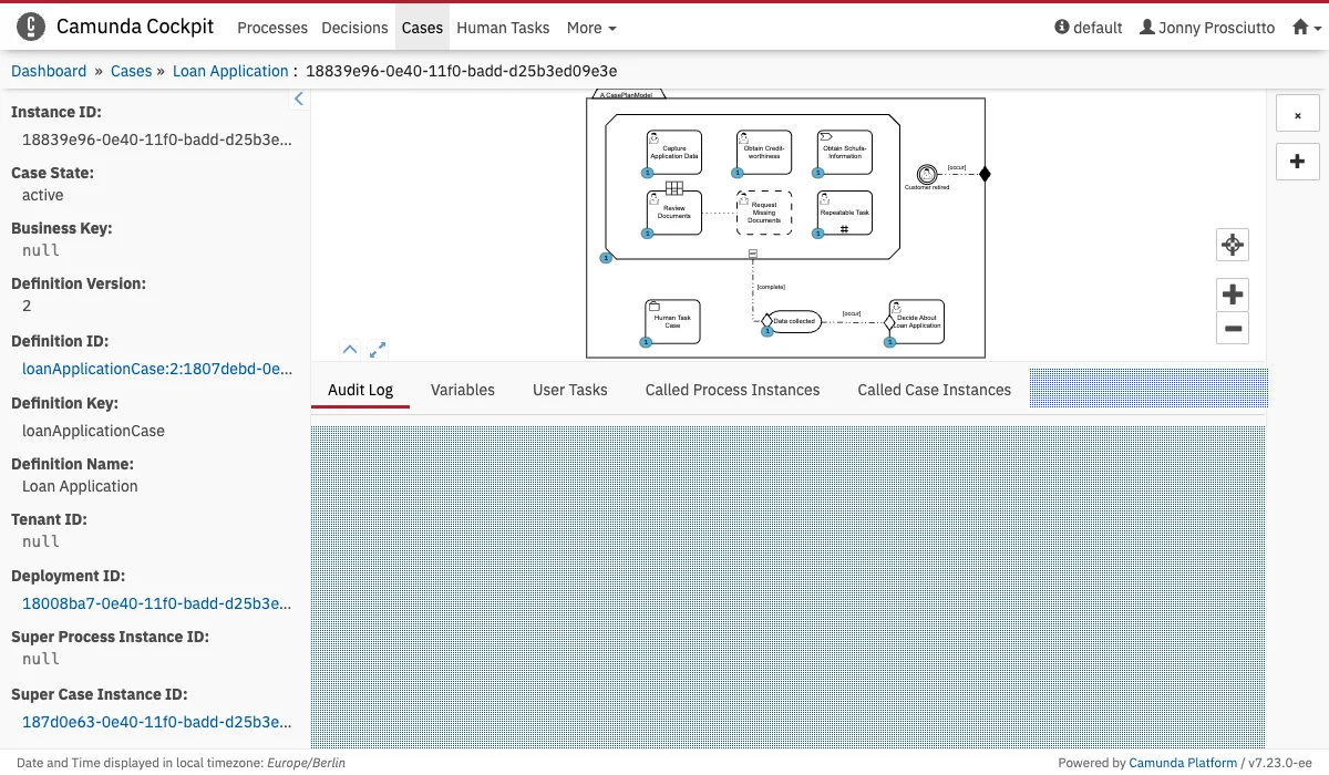 Case Instance Tab