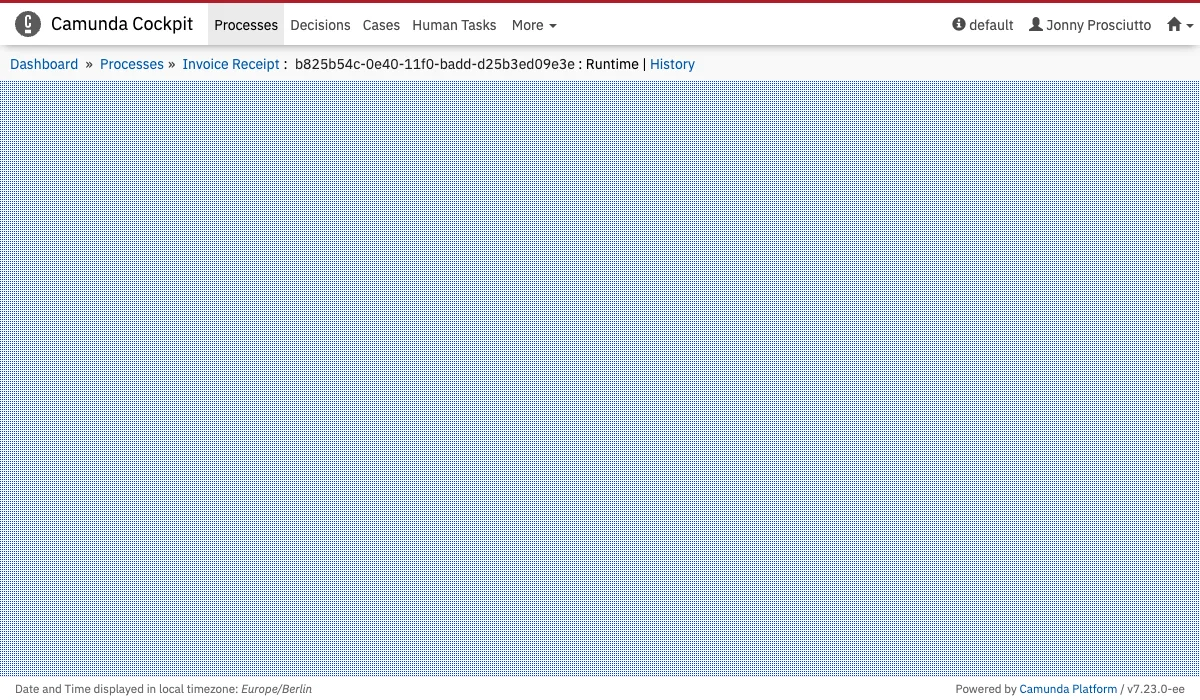 Process Instance View
