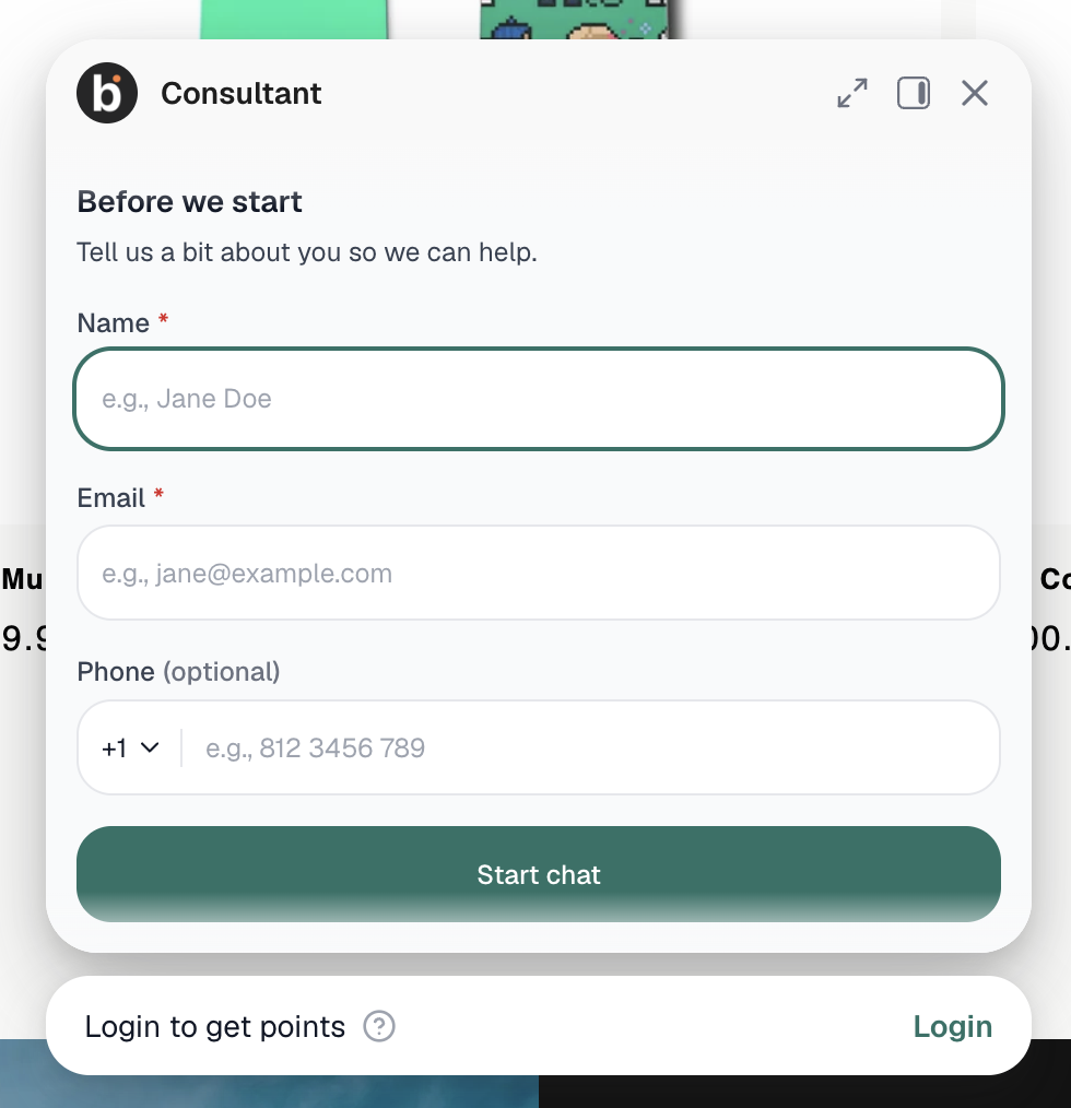 Pre-chat form shown in the chat widget, asking for name, email, and phone before the chat starts