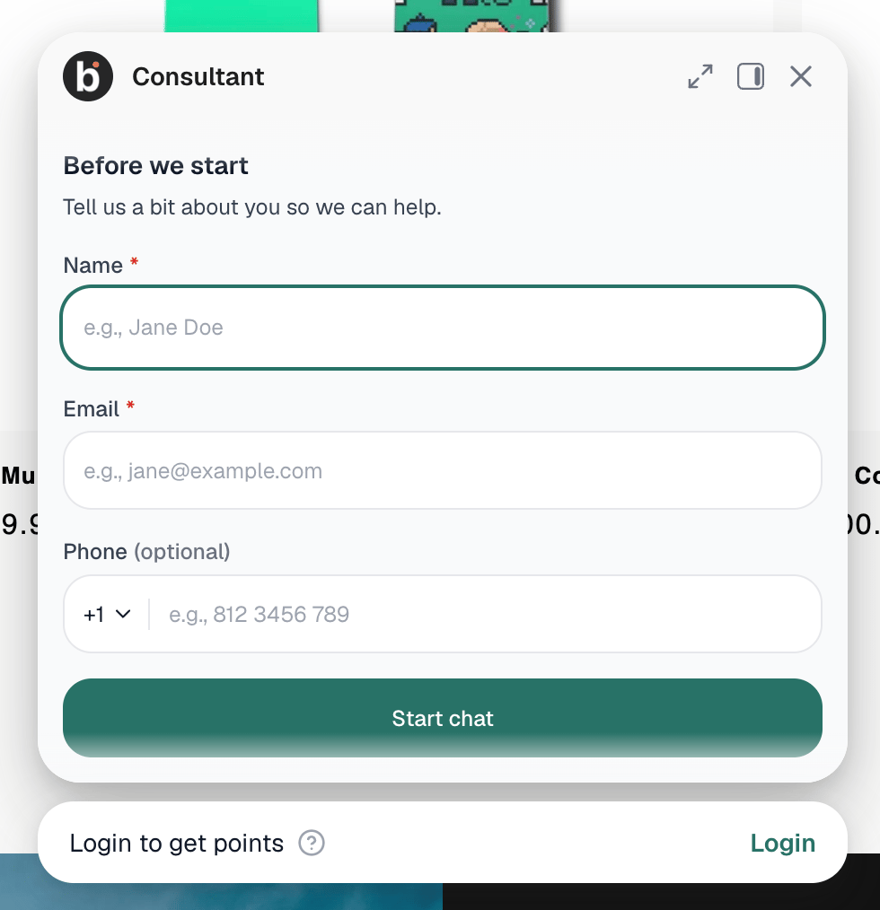 Pre-chat form shown in the chat widget, asking for name, email, and phone before the chat starts