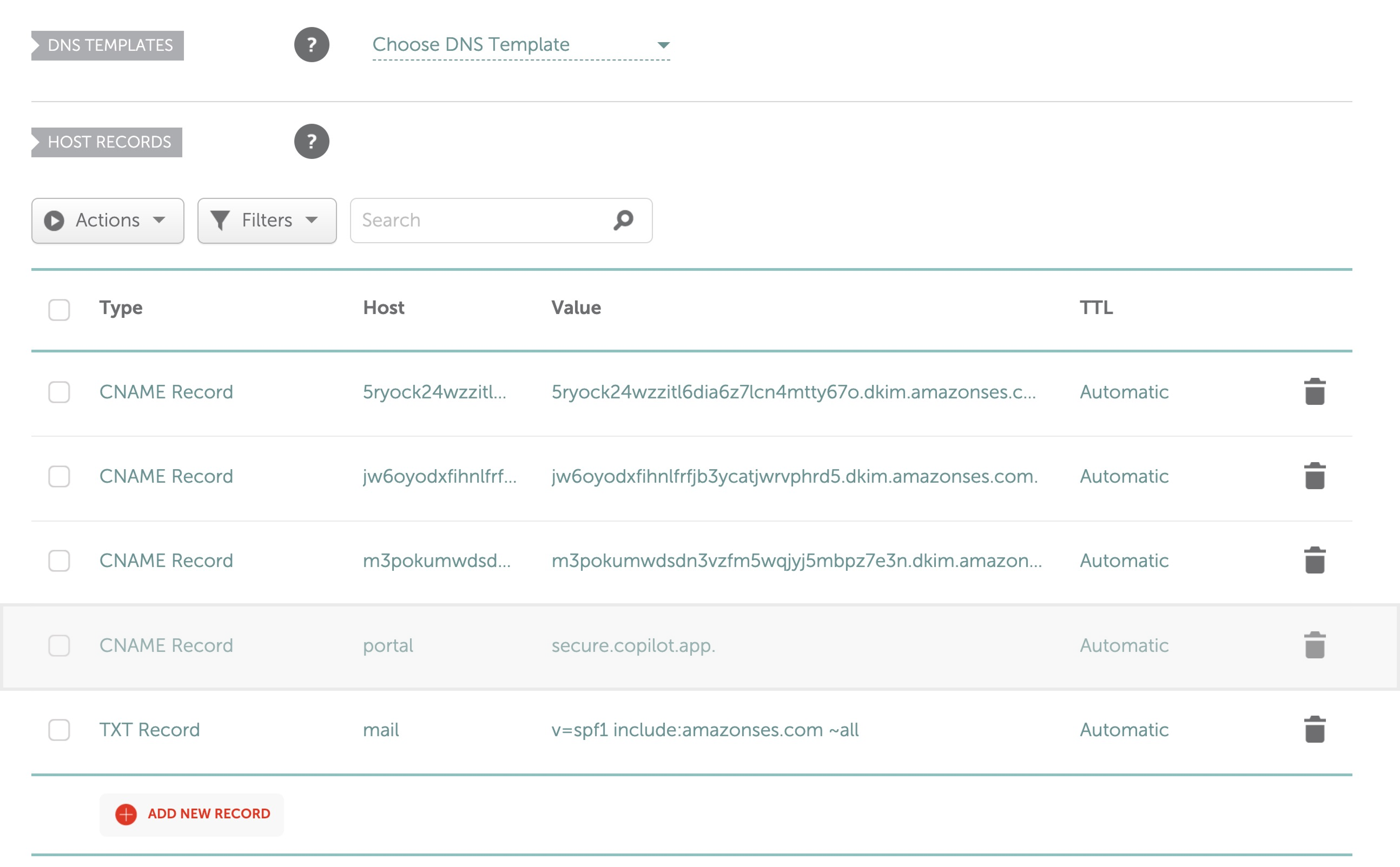 Example CNAME record in a registrar's advanced DNS settings