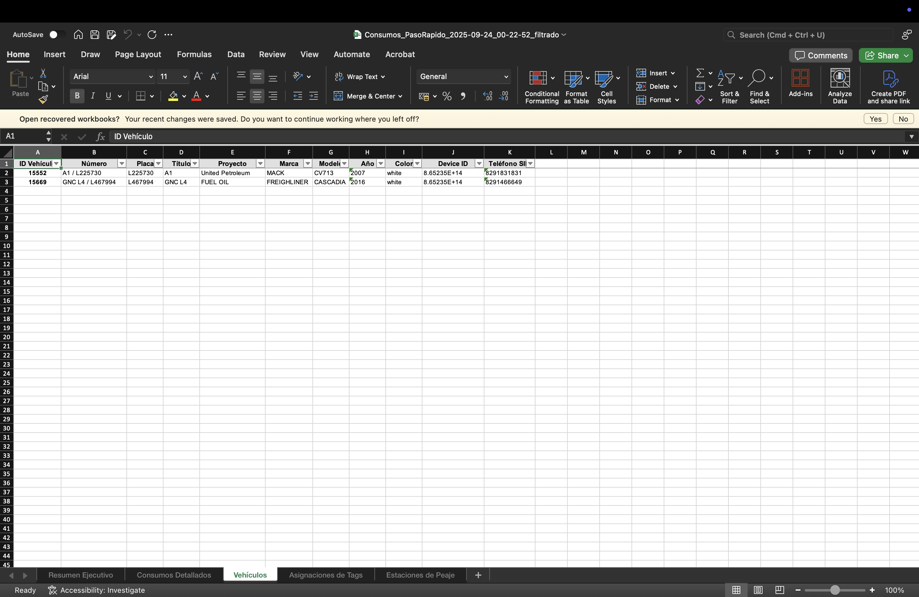 Hoja de vehículos en Excel