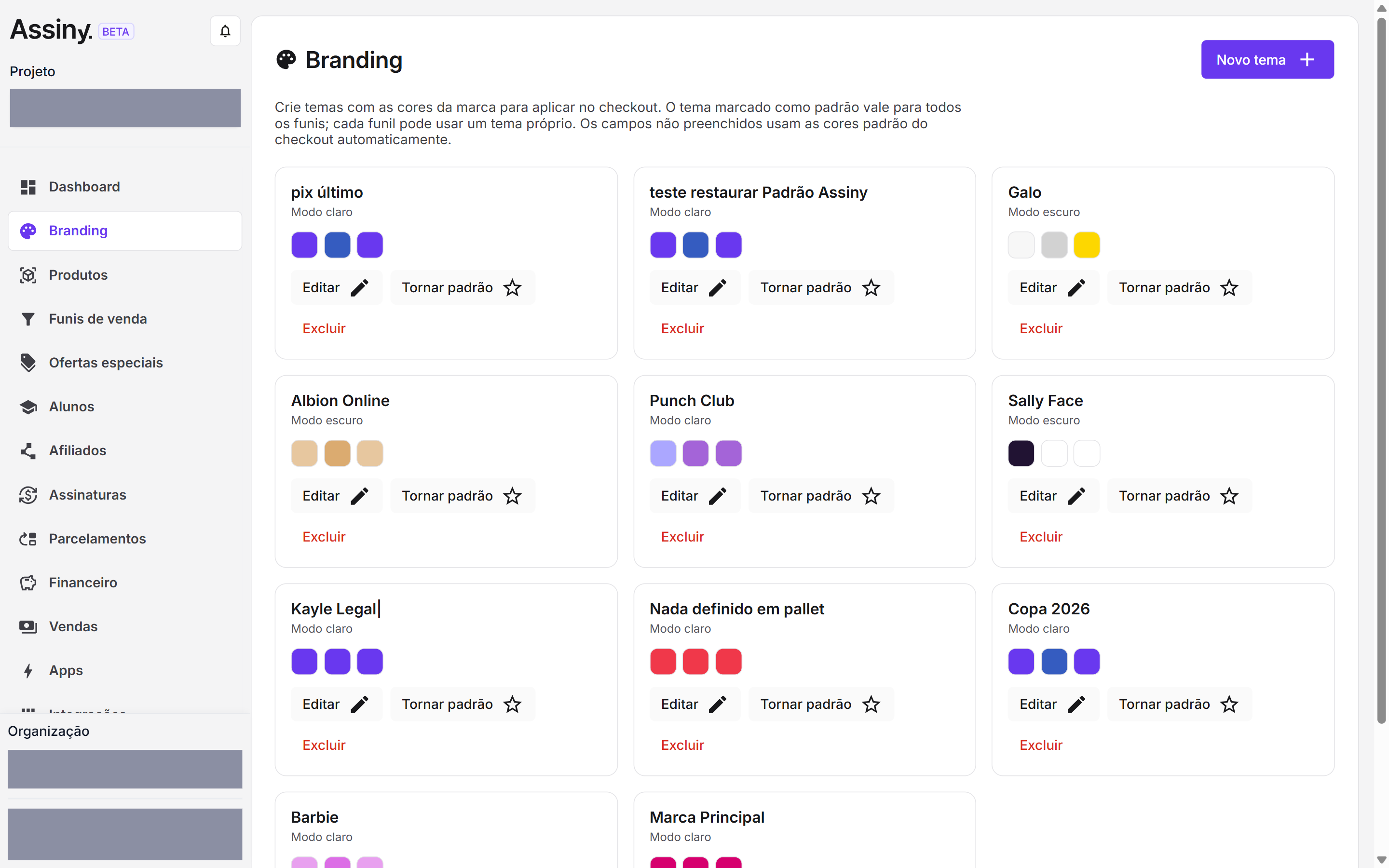 Tela de Branding com a lista de temas do projeto