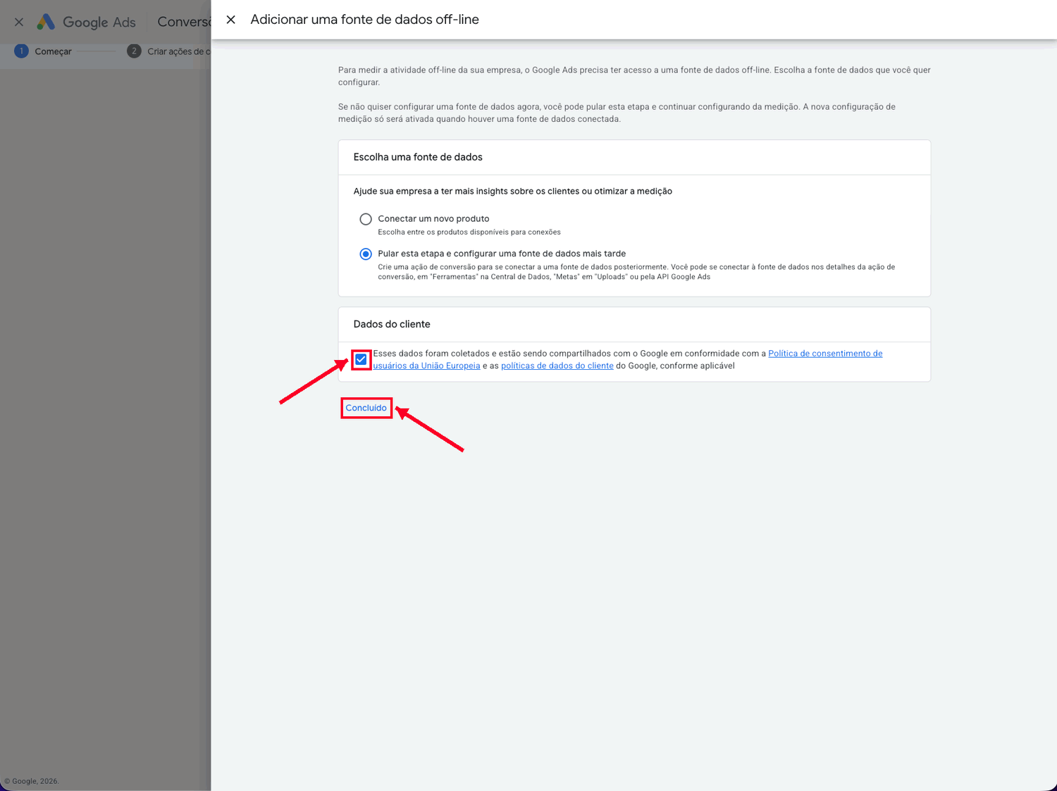 Seção de dados do cliente do Google Ads com a confirmação marcada