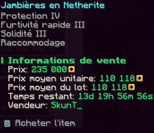 Exemple d'affichage d'une vente au AH