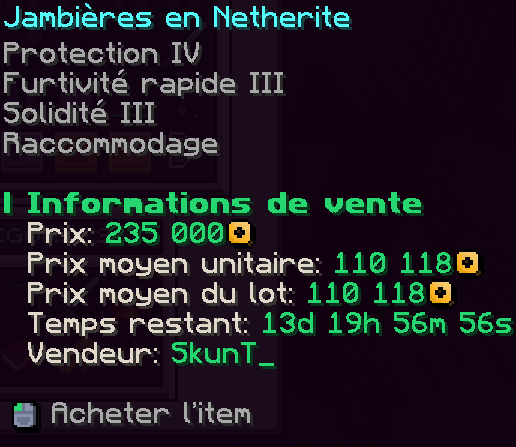 Exemple d'affichage d'une vente au AH