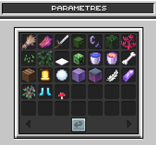 Interface du /v settings