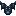 Plastron des Âmes