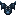 Plastron des Âmes