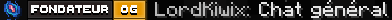 Exemple d'un message dans le chat général
