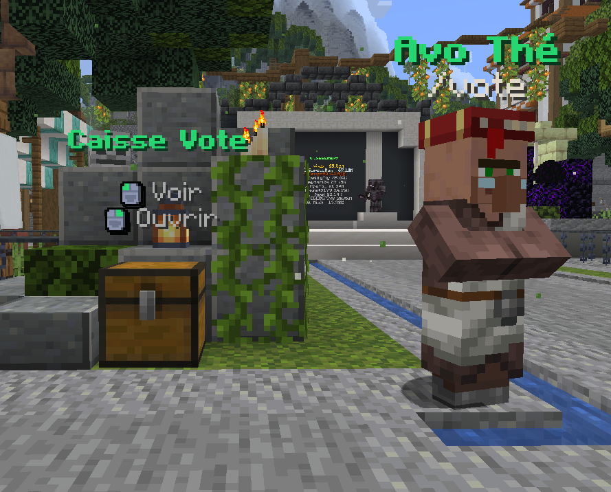Image de la caisse et du NPC Avo Thé au spawn