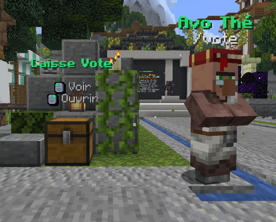 Image de la caisse et du NPC Avo Thé au spawn