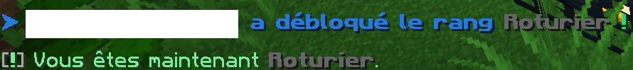Message rankup