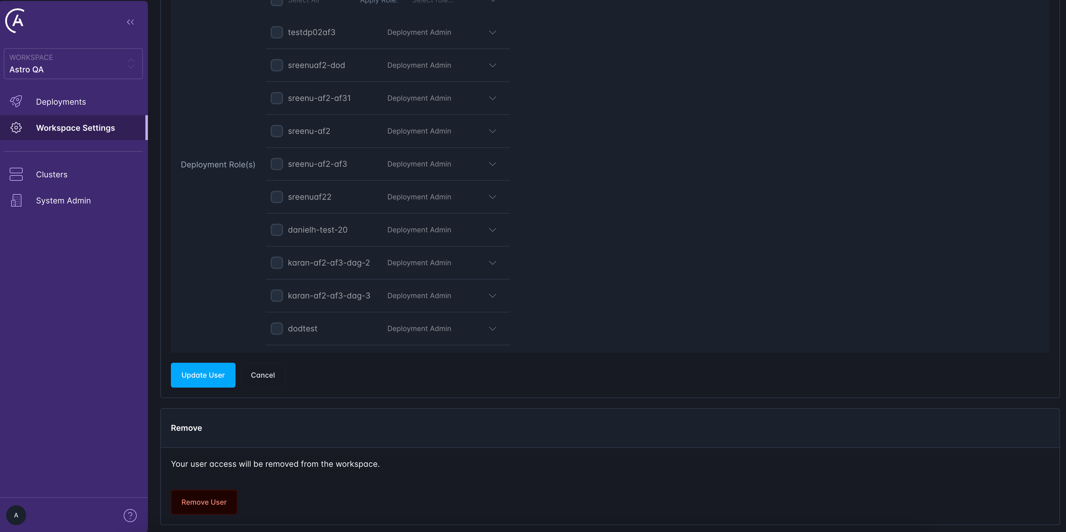 Remove Workspace User